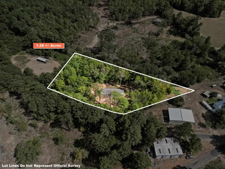 7044 Wild Daisy Rd, Ore City, TX 75683 - #3