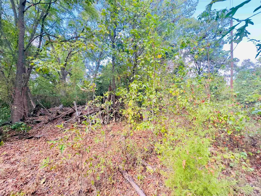 0000 Apple Tree Rd, Gilmer, TX 75644 - #2