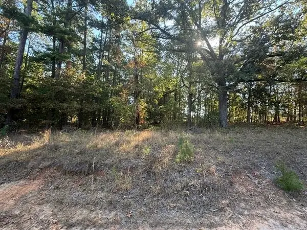 TBD Morningside Lane, Avinger, TX 75630