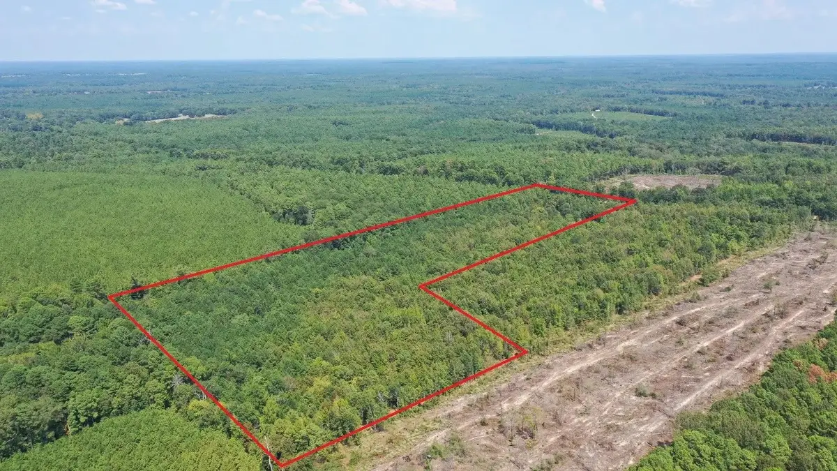3288 Texas Highway 43, Jefferson, TX 75657 - #1