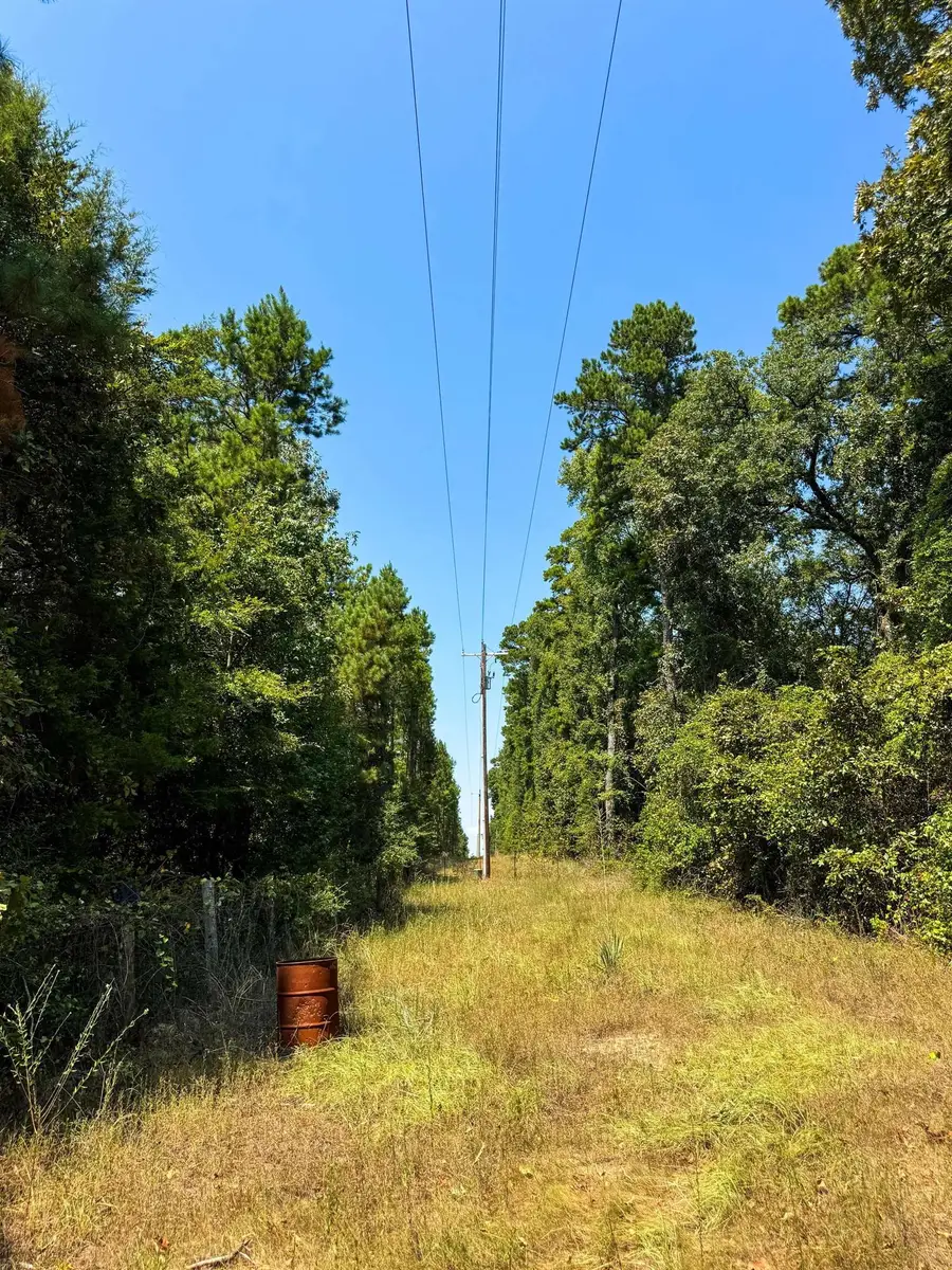 3288 Texas Highway 43, Jefferson, TX 75657 - #3