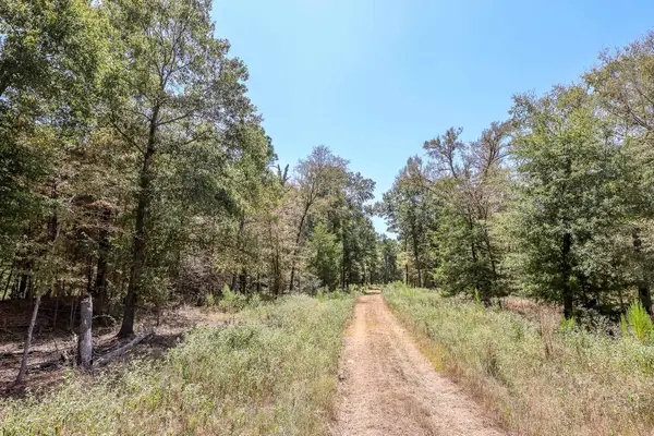 4661 CR 335, Palestine, TX 75803