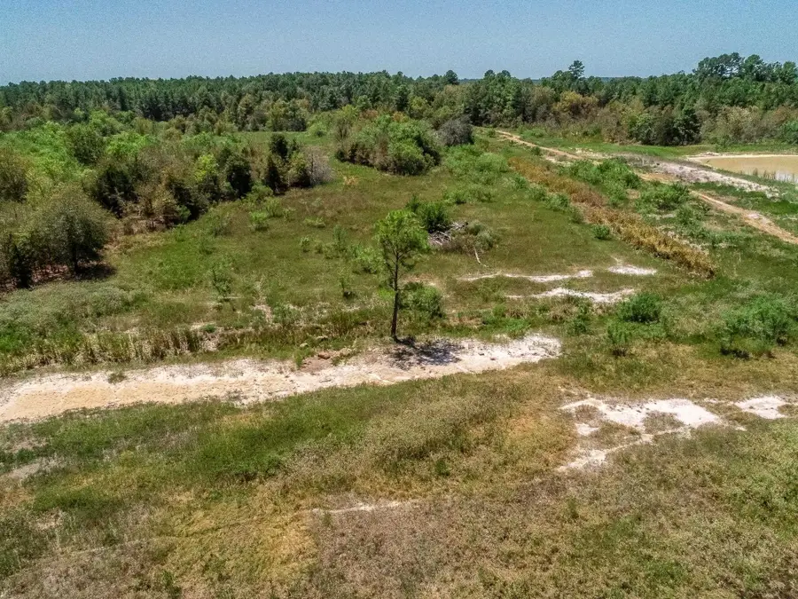 4661 CR 335, Palestine, TX 75803 - #2