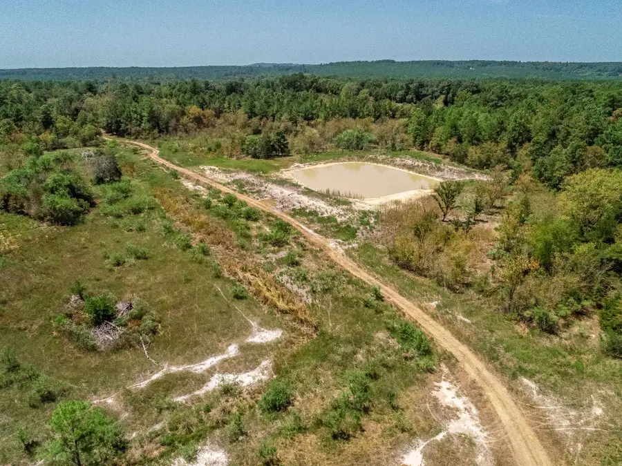 4661 CR 335, Palestine, TX 75803 - #3