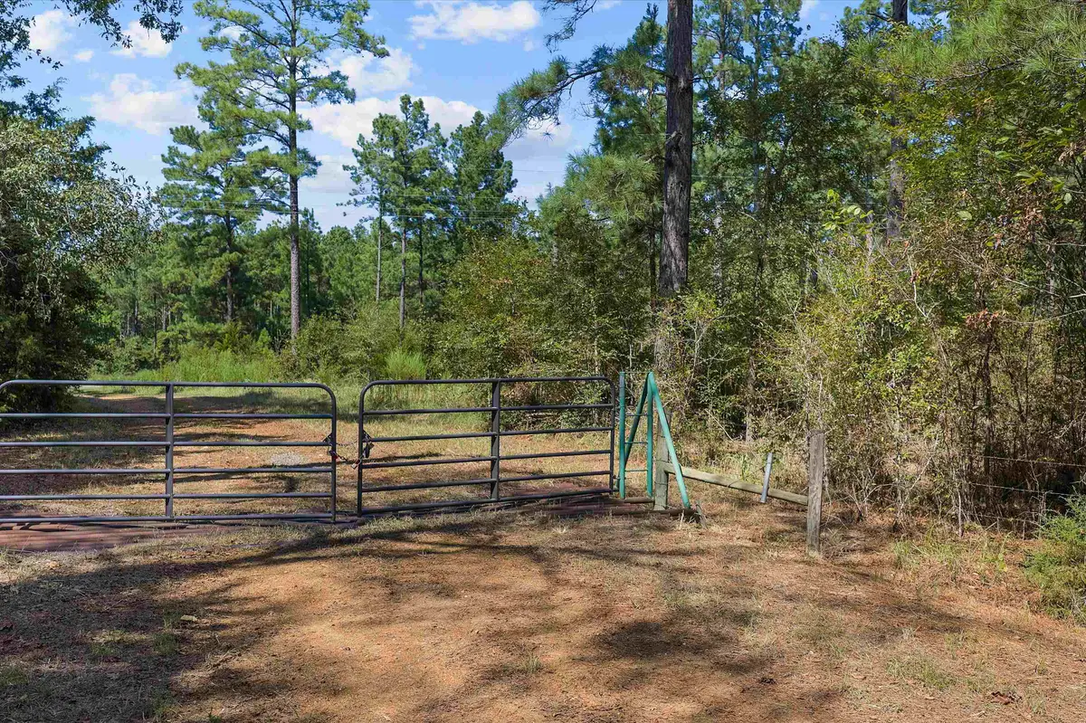 TBD CR 164, Long Branch, TX 75669 - #1