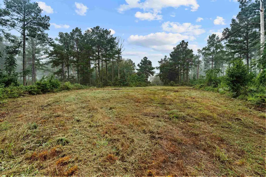 TBD CR 164, Long Branch, TX 75669 - #3