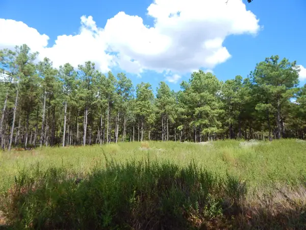 TBD 10 ACRES SPRUCE RD., Big Sandy, TX 75755