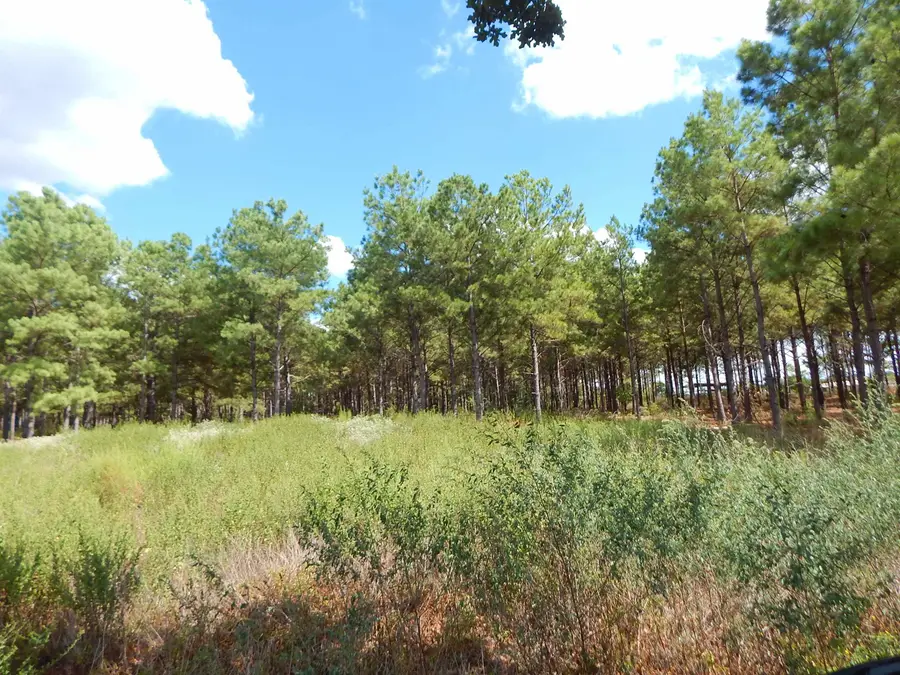 TBD 10 ACRES SPRUCE RD., Big Sandy, TX 75755 - #2