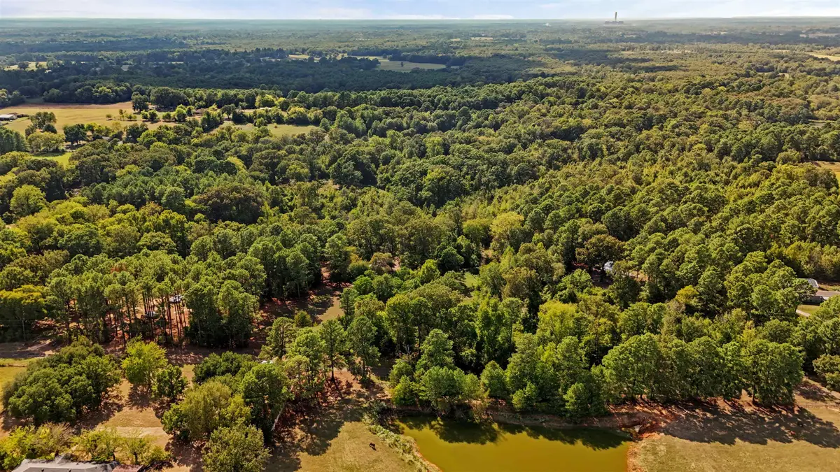 655 CR 1127, Daingerfield, TX 75638 - #1