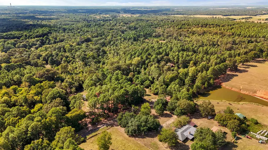 655 CR 1127, Daingerfield, TX 75638 - #2