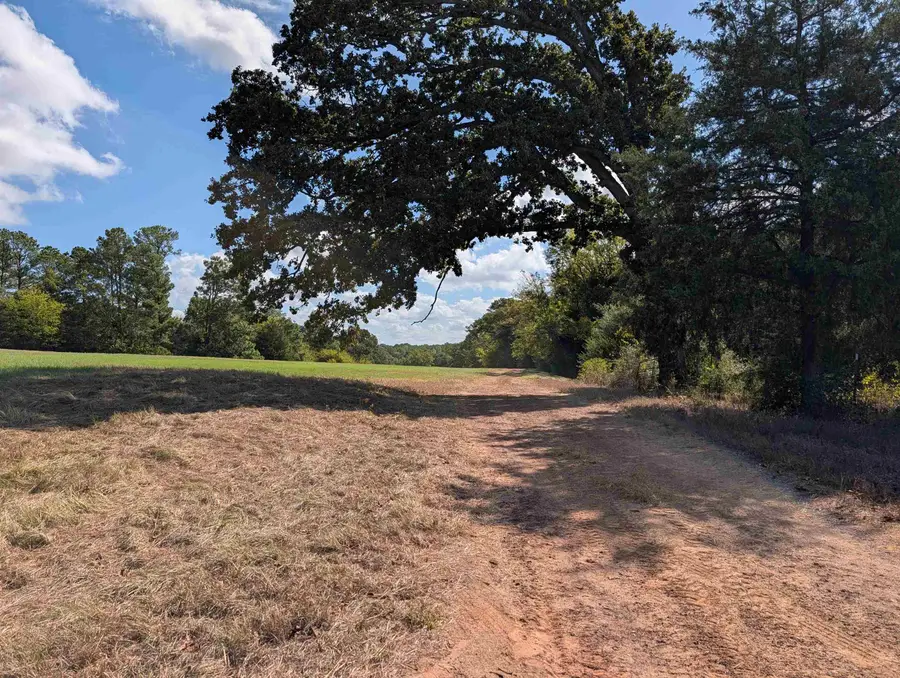 2116, Henderson, TX 75652 - #2