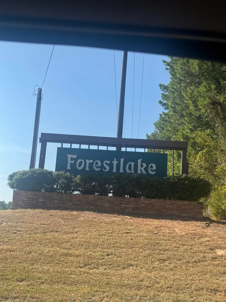 497 S Forest LK, Longview, TX 75605 - #3