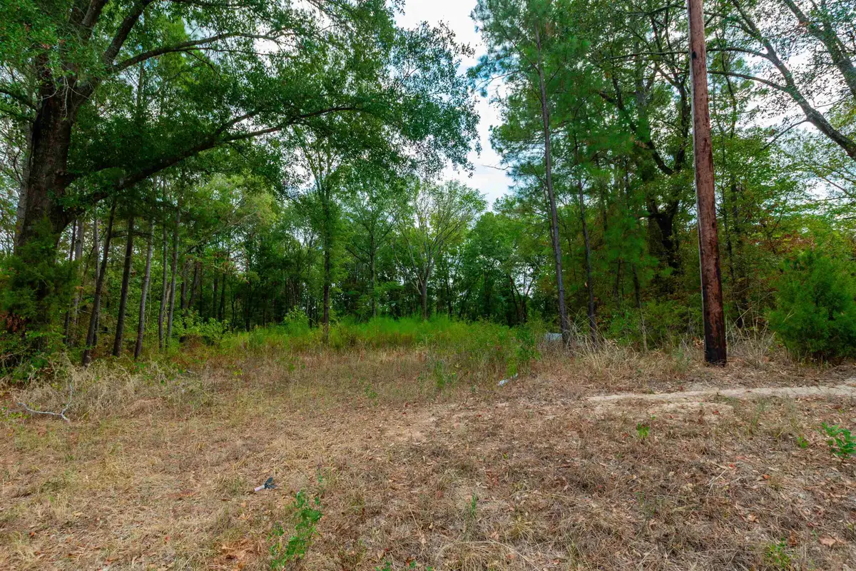744 FM 555, Gilmer, TX 75645 - #1