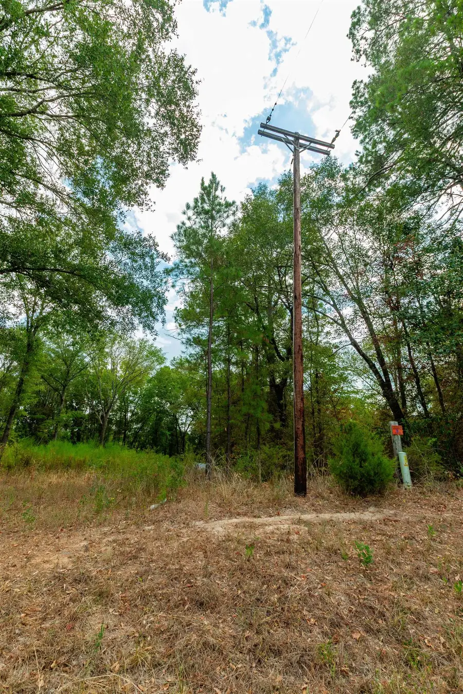 744 FM 555, Gilmer, TX 75645 - #2