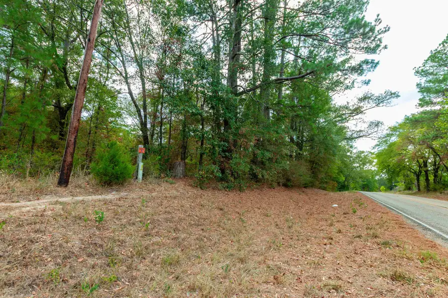 744 FM 555, Gilmer, TX 75645 - #3