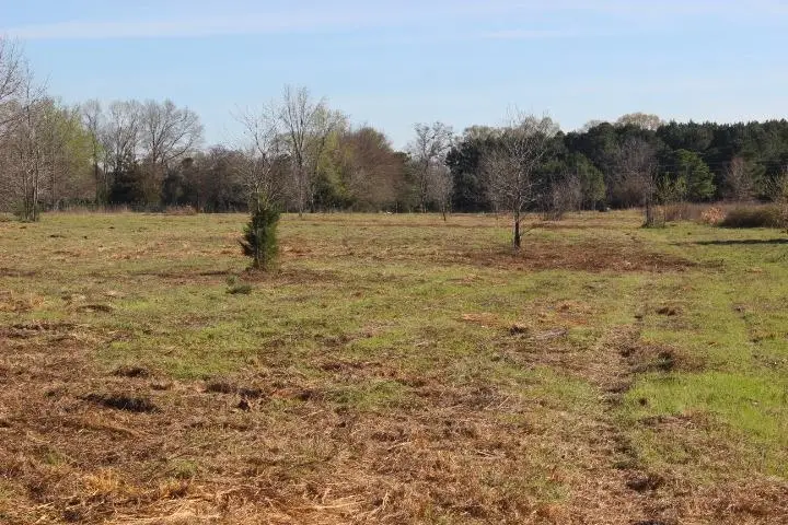 --TBD-- FM 2208, Harleton, TX 75651 - #1