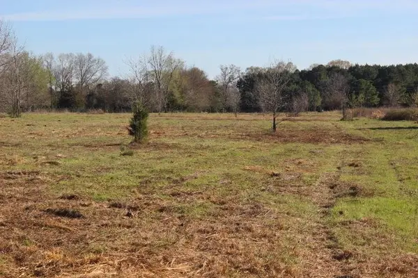 --TBD-- FM 2208, Harleton, TX 75651