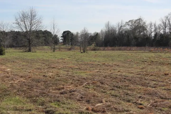 --TBD-- FM 2208, Harleton, TX 75651 - #2