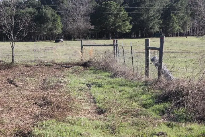 --TBD-- FM 2208, Harleton, TX 75651 - #3