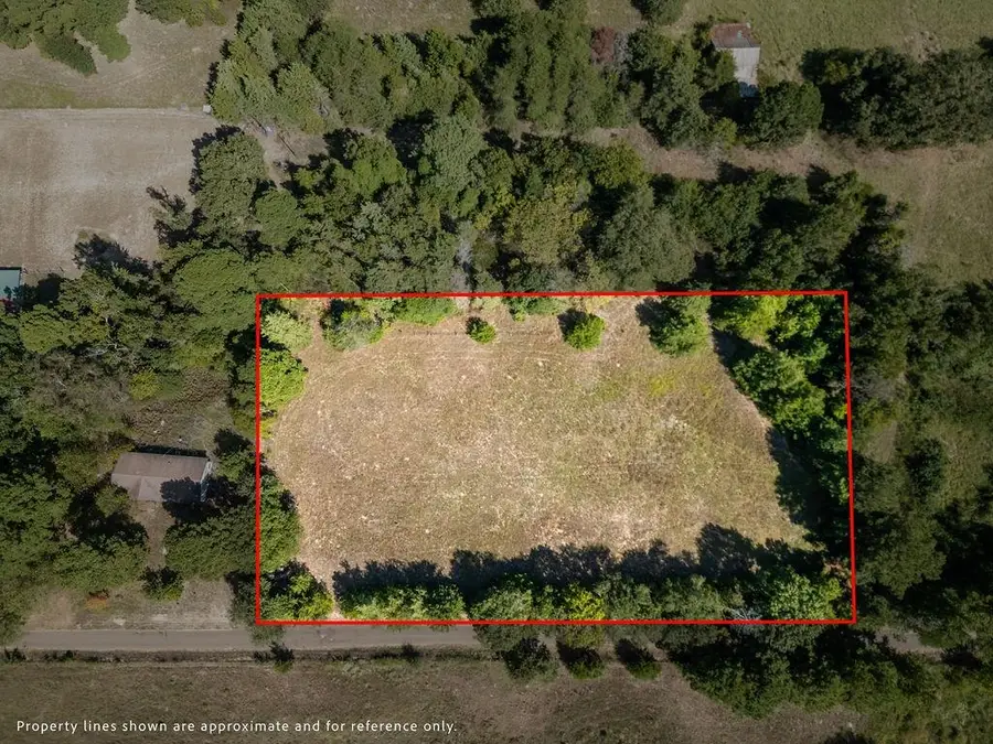 TBD COUNTY ROAD 2732, Naples, TX 75568 - #3