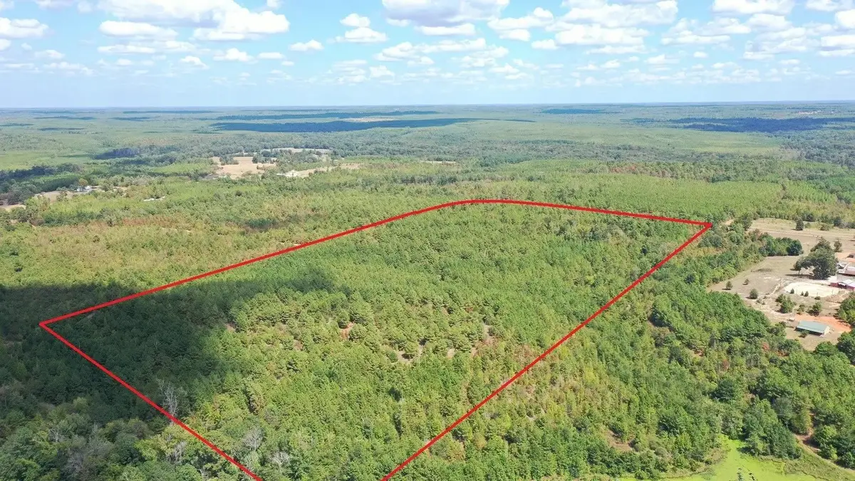5738 Liberty Road, Jefferson, TX 75657 - #1