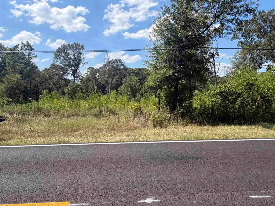 3351 FRITZ SWANSON RD, Kilgore, TX 75662 - #2