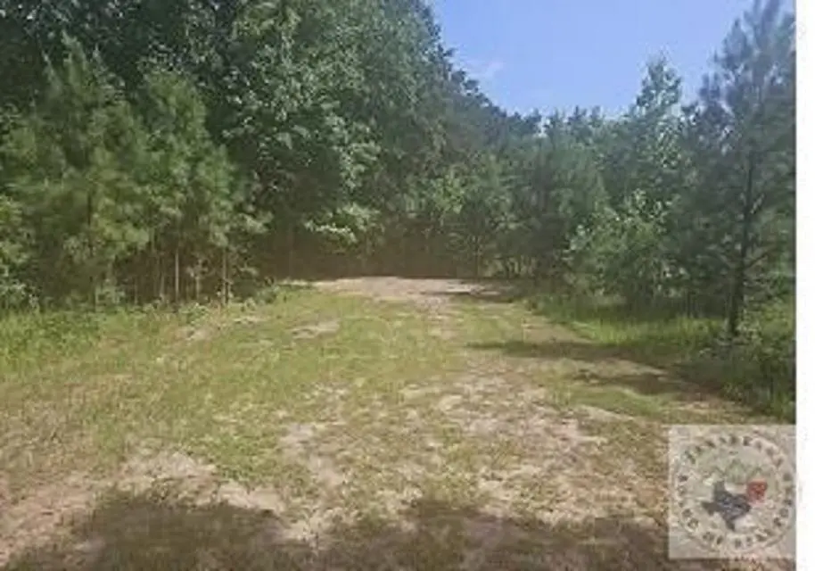22059 State Highway 154, Harleton, TX 75651 - #1