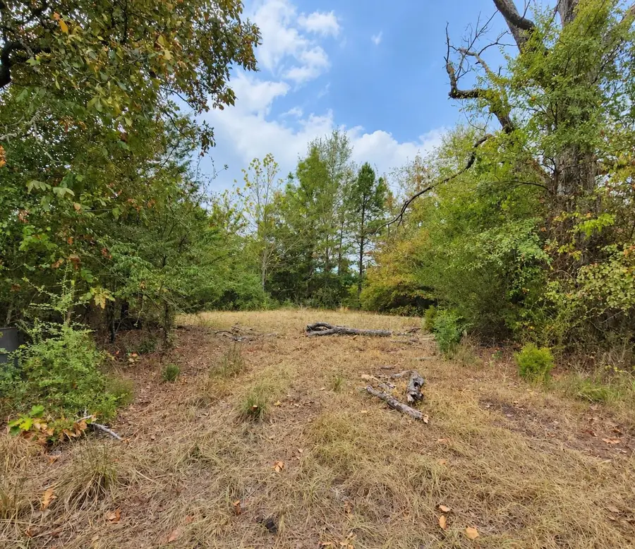 Address Withheld By Seller, Harleton, TX 75651 - #2