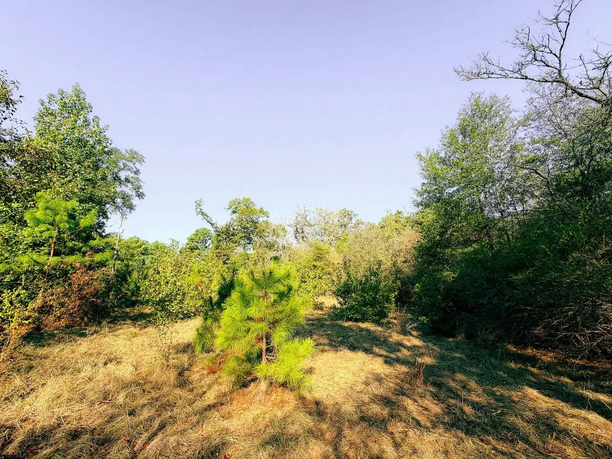 921 S Lakeview Drive, Marshall, TX 75670 - #1