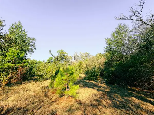 921 S Lakeview Drive, Marshall, TX 75670