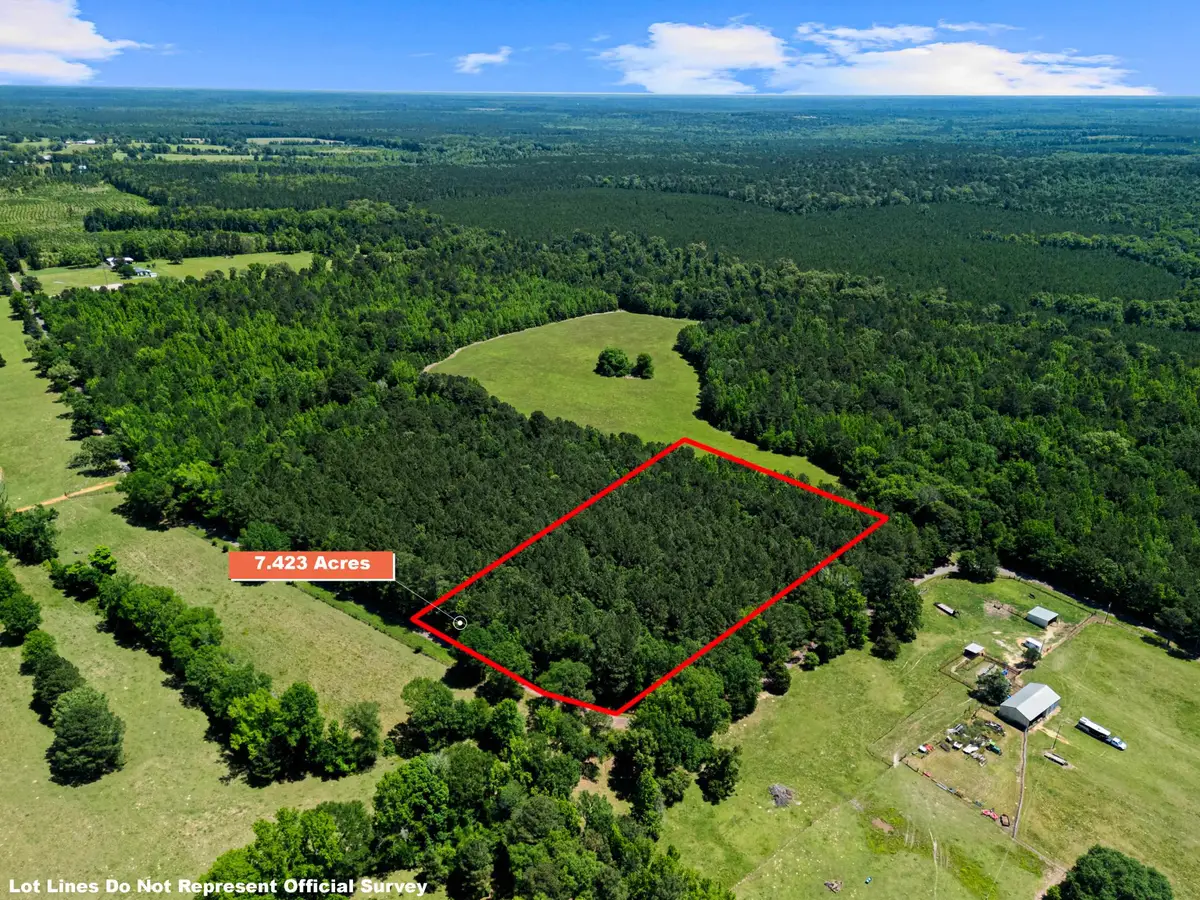7.423 Ac TBD CR 3300, Jefferson, TX 75657 - #1