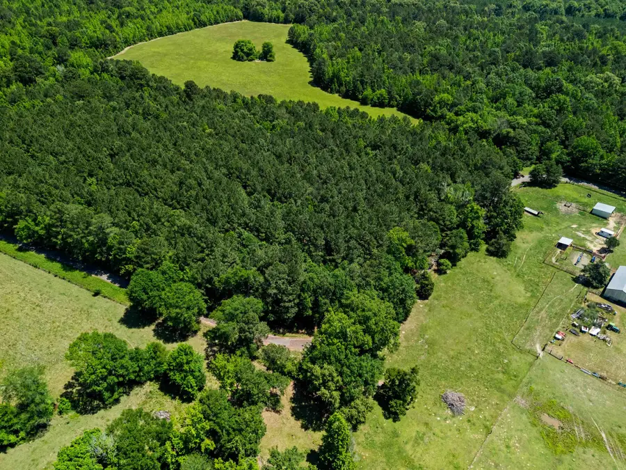7.423 Ac TBD CR 3300, Jefferson, TX 75657 - #3