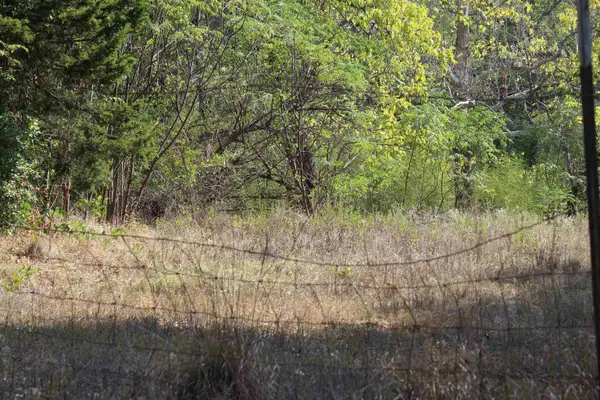 1532 Phillips Springs, Gladewater, TX 75647