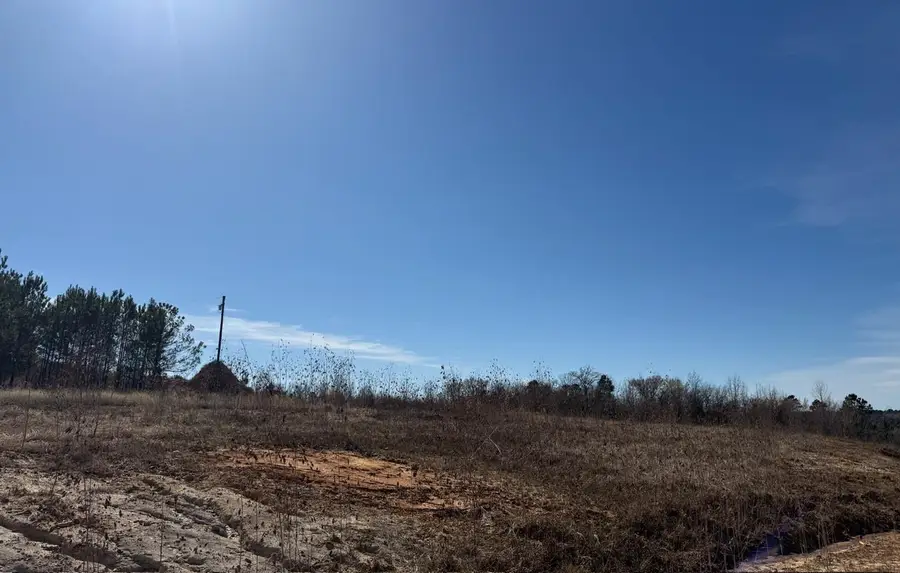 Tract #1 County Road 431, Lindale, TX 75771 - #3