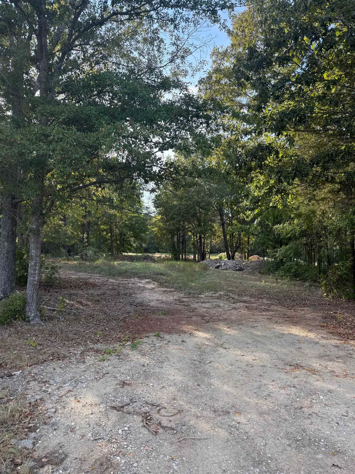 265 PRIVATE ROAD 1239, Marshall, TX 75672 - #1