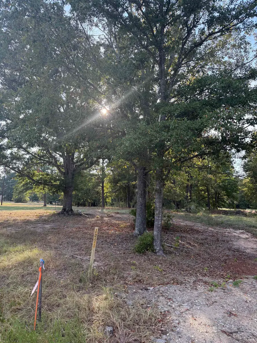 265 PRIVATE ROAD 1239, Marshall, TX 75672 - #2