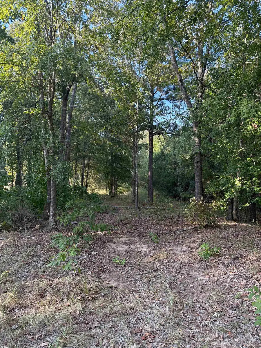 265 PRIVATE ROAD 1239, Marshall, TX 75672 - #3