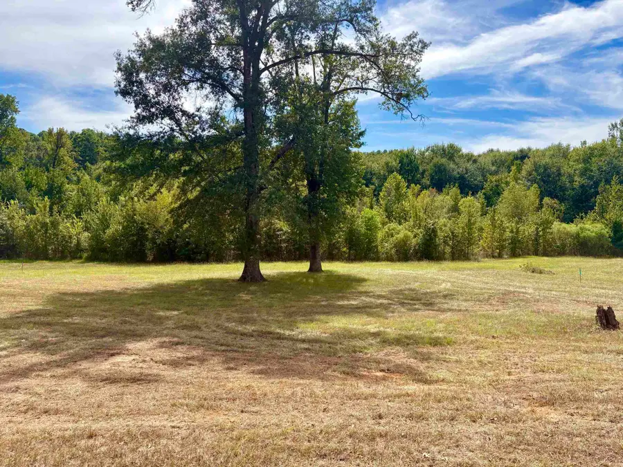 TBD Lot 2 Pine Tree Rd., Longview, TX 75604 - #3