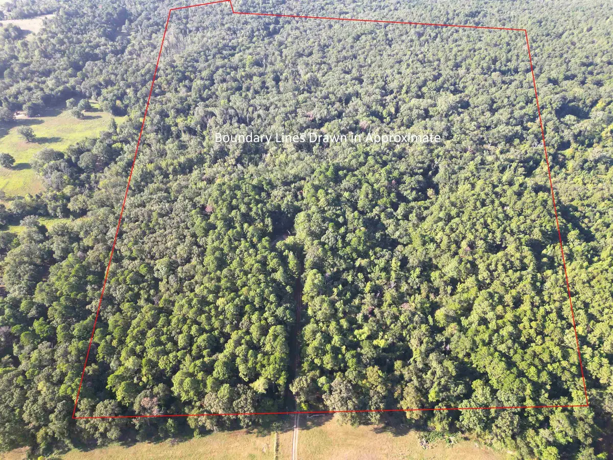 TBD County Road 3104, Gladewater, TX 75647 - #1