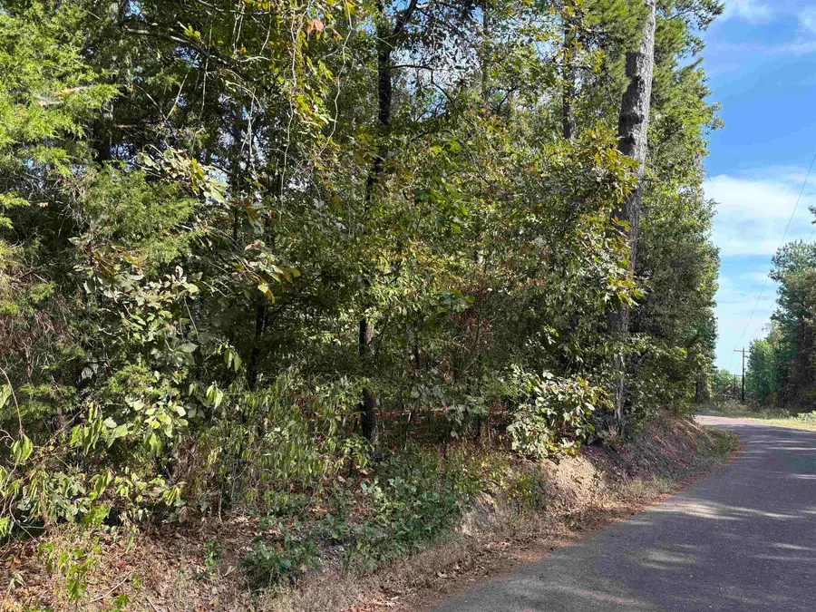 000 Mims Chapel Road, Avinger, TX 75630 - #2