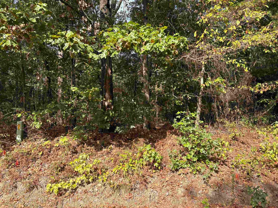 000 Mims Chapel Road, Avinger, TX 75630 - #3