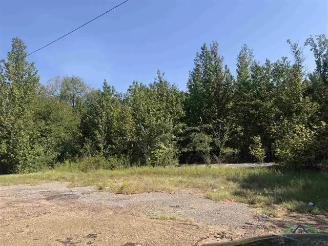 6110 S East End Blvd, Marshall, TX 75672 - #2