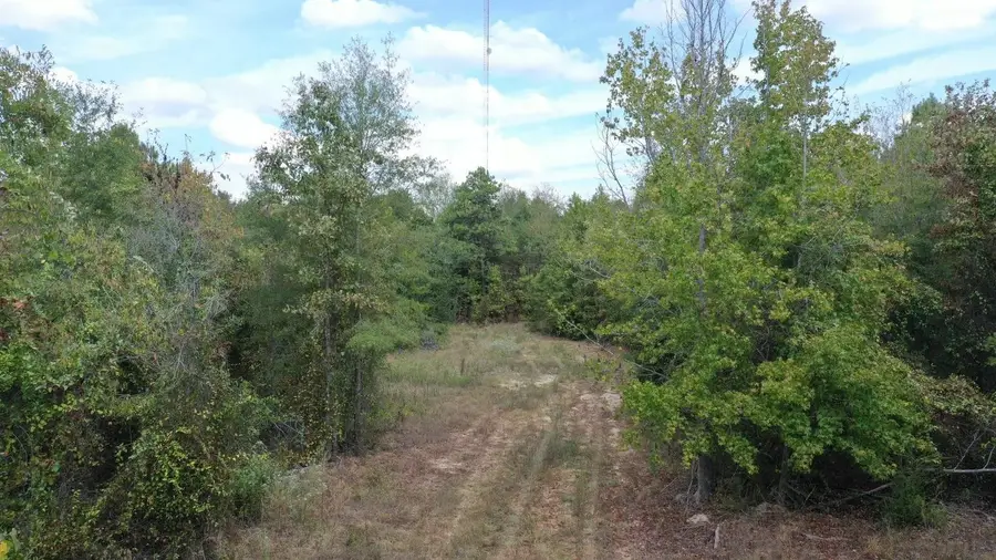 1183 Sarber Road, Jefferson, TX 75657 - #2