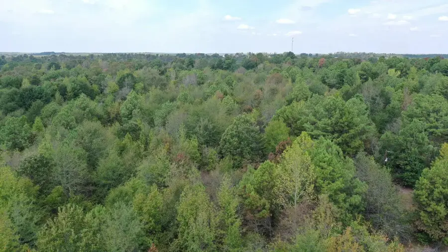 1183 Sarber Road, Jefferson, TX 75657 - #3