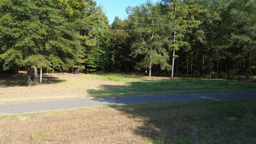 TBD Private Road 7223, Jefferson, TX 75657 - #3
