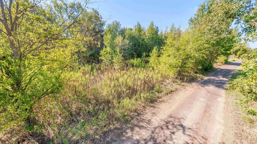 TBD WATER LILY RD, Gilmer, TX 75644 - #2