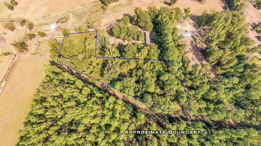 TBD WATER LILY RD, Gilmer, TX 75644 - #3