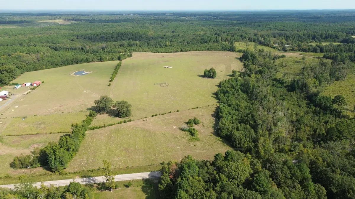 TBD FM 995, Douglassville, TX 75560 - #1