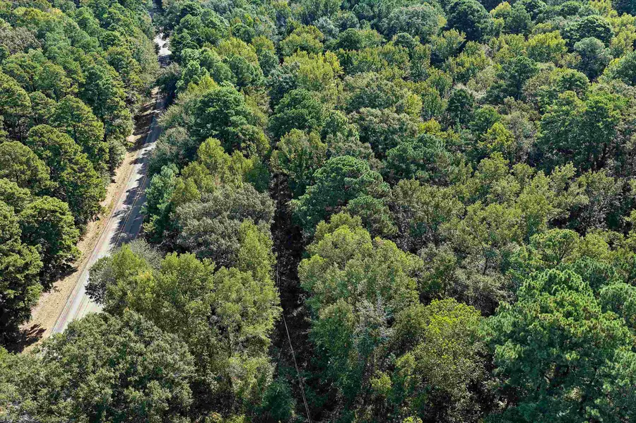 TBD FM 450, Harleton, TX 75651 - #2