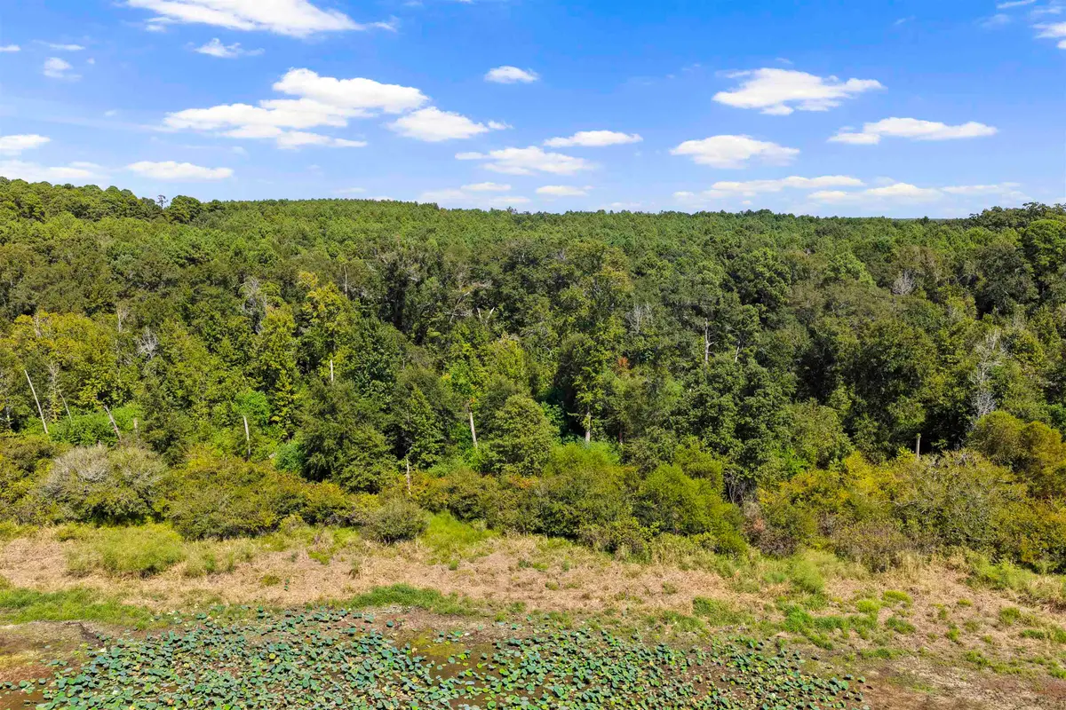 TBD WILLOW POINT MARINA RD, Lone Star, TX 75668 - #1